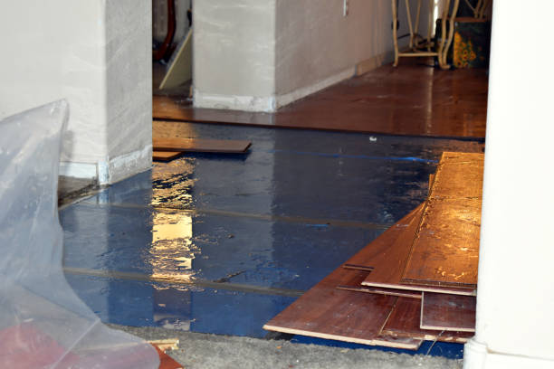 Professional Sewage Cleanup technician working in Bigfoot, TX